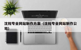 东至沈阳专业网站制作方案（沈阳专业网站制作公司）